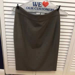 Ann Taylor Silver Skirt